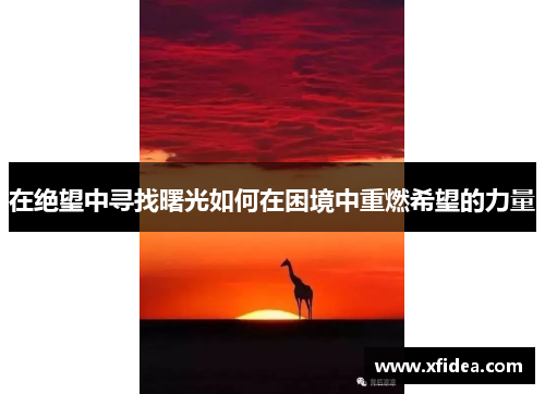 在绝望中寻找曙光如何在困境中重燃希望的力量