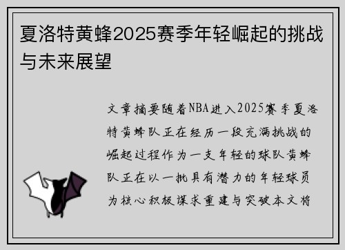 夏洛特黄蜂2025赛季年轻崛起的挑战与未来展望