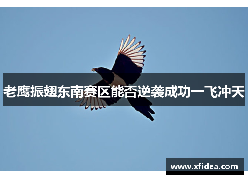 老鹰振翅东南赛区能否逆袭成功一飞冲天